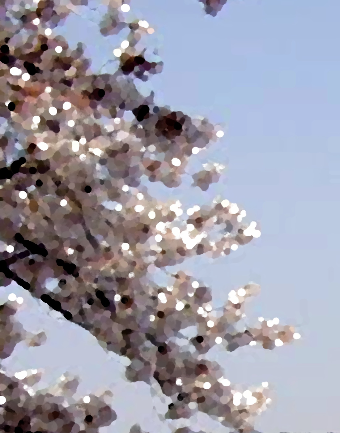 Close-up photo of branches covered in cherry blossoms,
                digitally-manipulated to somewhat resemble an impressionist
                painting.